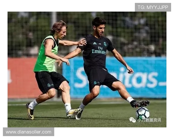 万博maxbetx官网赛事直播与投注指南，掌握最新体育赛事投注技巧